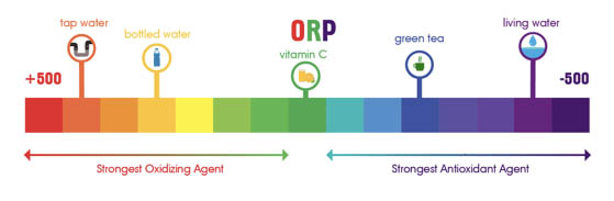 ORP (Oxidation Reduction Potential)